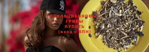 гидра Абаза