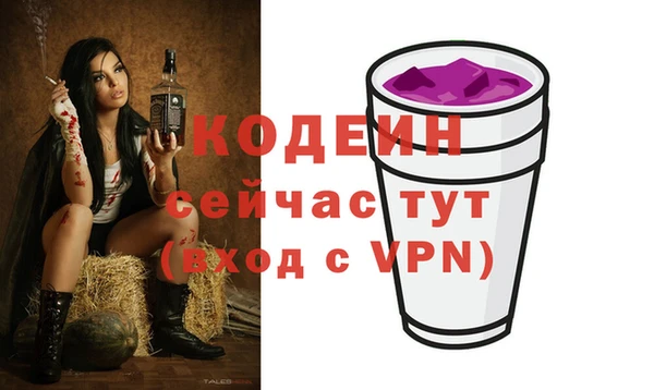 гидра Абаза