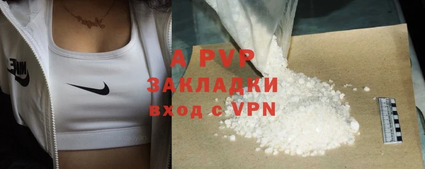 гидра Абаза