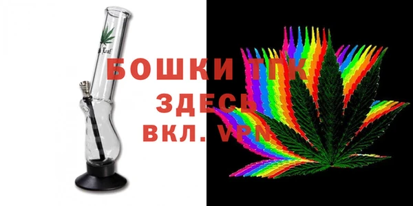 гидра Абаза