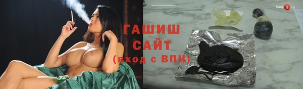 гидра Абаза
