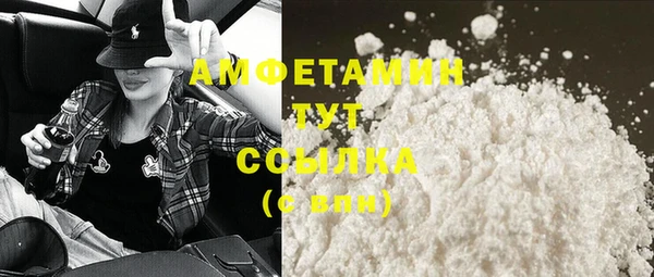 гидра Абаза