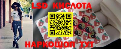 СК Можга
