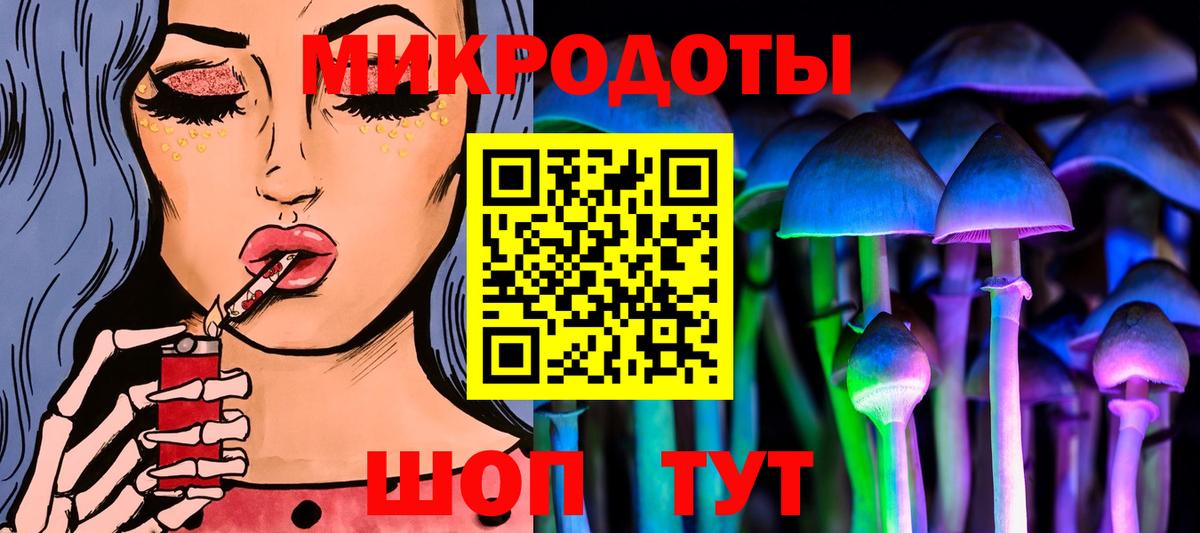 купить наркотик  Вход с VPN  Стрежевой  Галлюциногенные грибы Psilocybe 