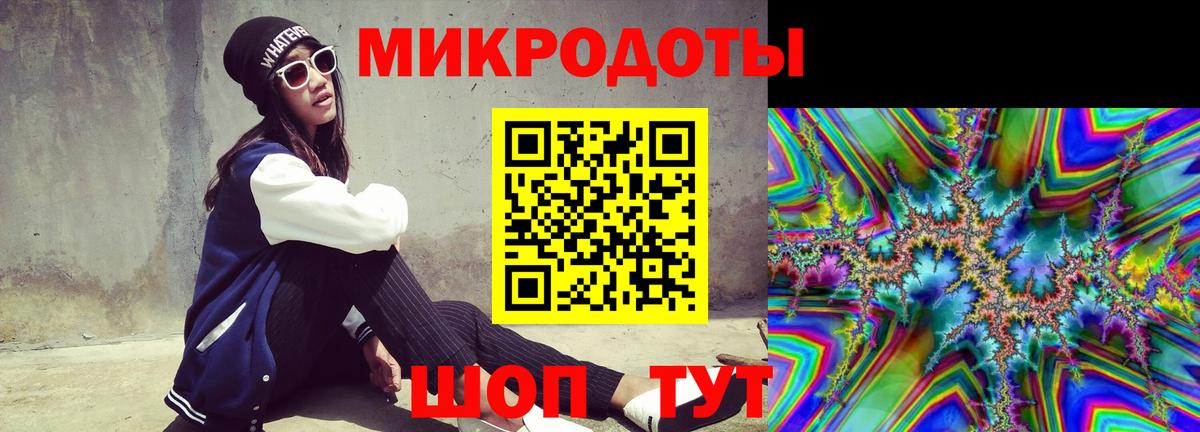 Галлюциногенные грибы Psilocybe Стрежевой